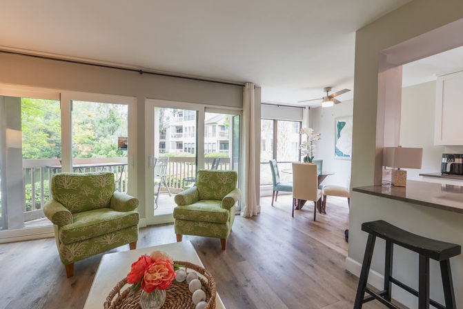 Waterview Villa: Renovated 1BR Suite in Sea Pines, Steps to Harbourtown image 4