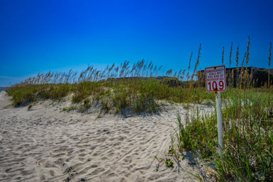 Sunny coastal scene of sandy beach dunes and sea oats under a vivid blue sky, with an emergency beach marker post reading "109" beside dune grasses.