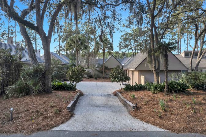 Residential driveway framed by live oaks draped in Spanish moss and palm trees, leading to beige coastal-style homes under a clear blue sky