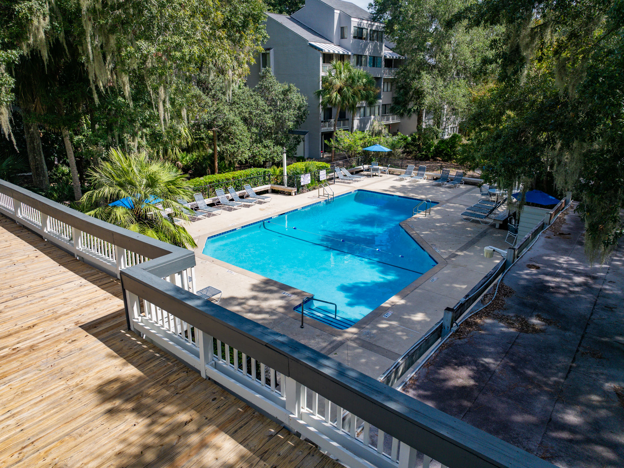 Aerial view of a sunlit outdoor pool at a condo complex: bright blue water, lounge chairs and umbrellas on a concrete deck, surrounded by palm trees and oaks draped in Spanish moss, wooden deck railing in the foreground.