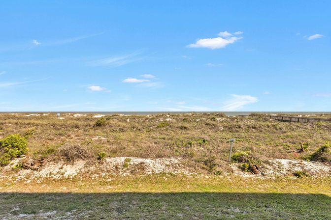 Sunny coastal sand dunes with sparse grasses and coastal plants, wooden boardwalk at right, ocean horizon under a clear blue sky