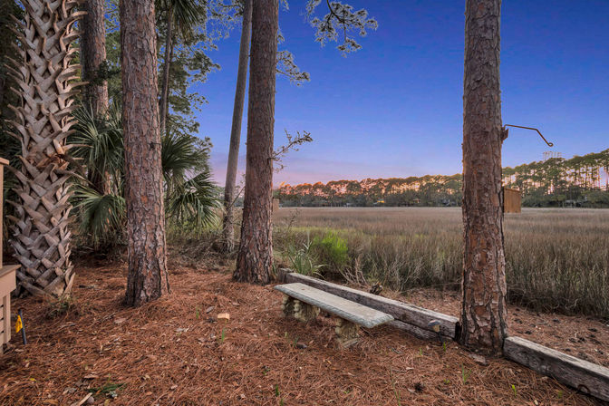 Concrete bench among pine and palm trees overlooking a coastal salt marsh at sunset with a purple-blue sky and distant treeline