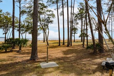 Scenic coastal park with tall pine trees and palmettos on sandy grass, a picnic bench at right, and a salt marsh shoreline leading to a calm bay under a blue sky