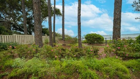 Barefoot Bliss at The Spa: Oceanfront Complex with Multiple Pools + Sauna image 30