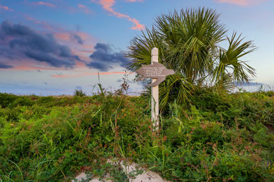 Sunset over tropical beach dunes with dense green vegetation, a small palm tree and a wooden post sign about turtle season
