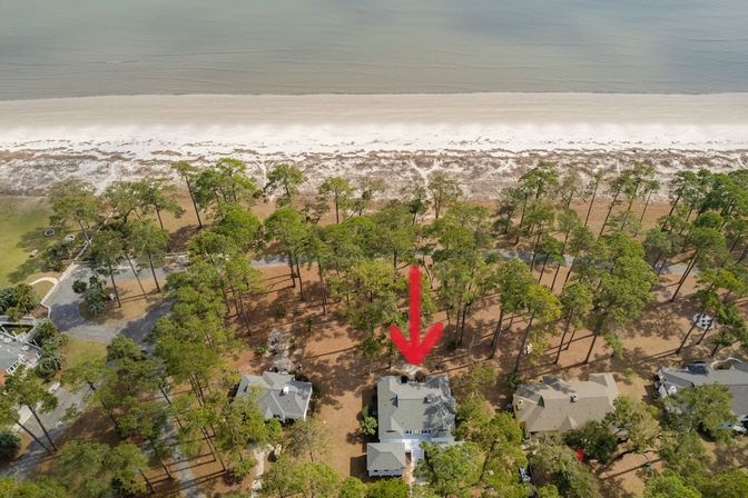 Aerial coastal view of sandy beach and ocean beyond a pine‑lined shore, red arrow highlighting a two‑story beachfront house nestled among trees.