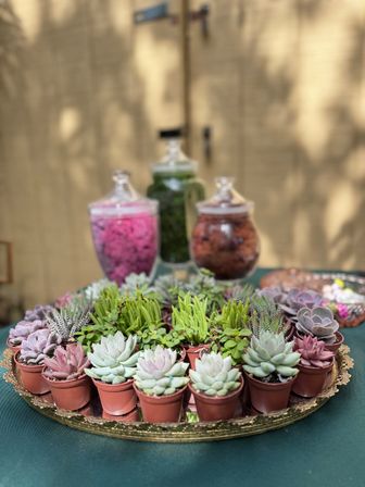 Cheerful array of mini succulents in tiny terracotta pots arranged on an ornate gold platter as a sunlit outdoor table centerpiece, with blurred glass jars of colorful moss in the background.