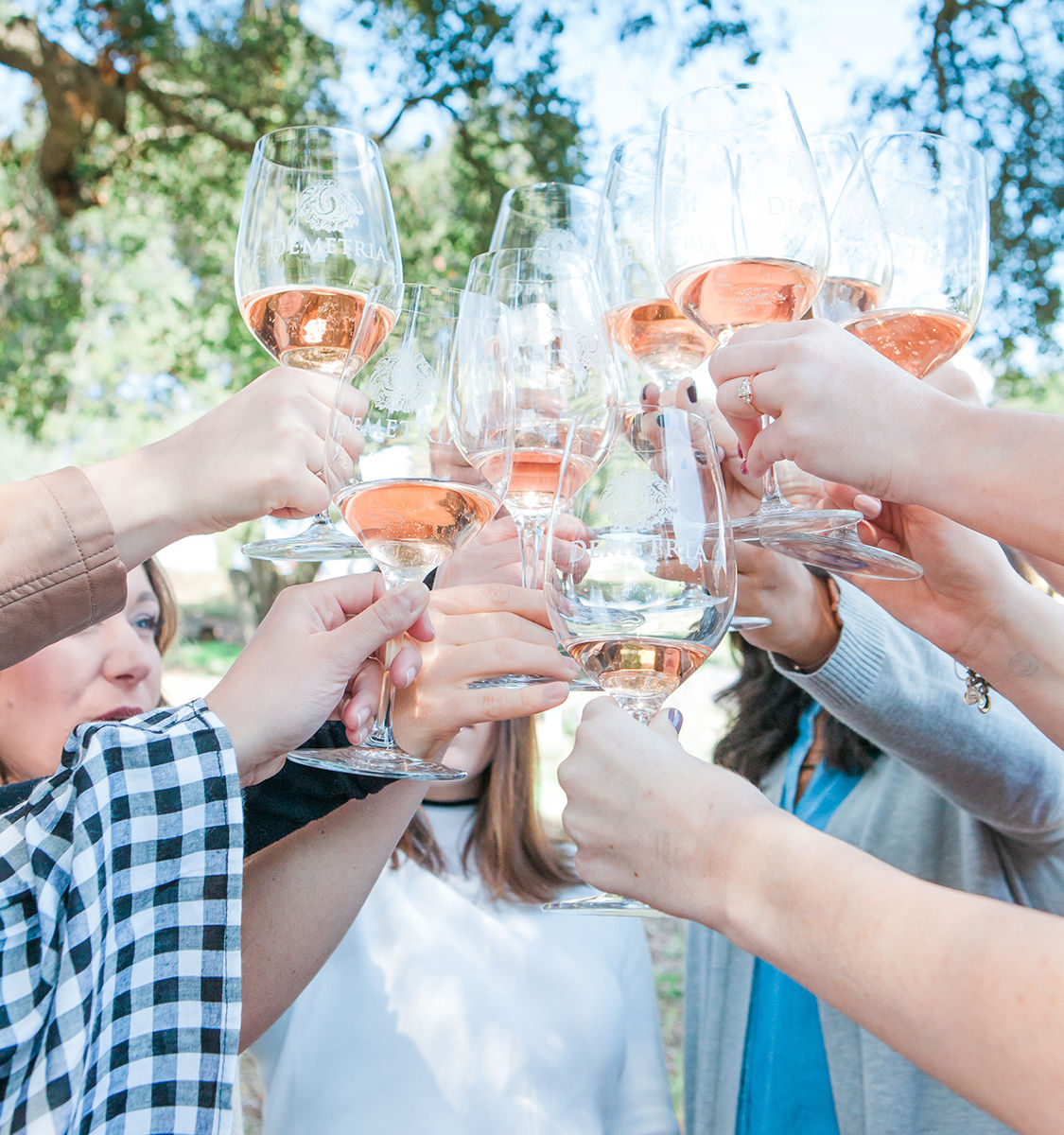 Friends outdoors clinking stemmed glasses of rosé wine in a sunny toast during a casual wine tasting, hands raised against leafy trees.