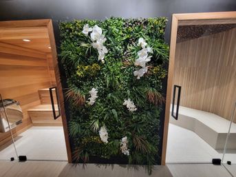 Lush indoor vertical garden with white orchids on a dark wall, centered between two glass-doored wooden sauna rooms in a spa relaxation area.