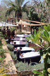 Villa Sound Healing Massage for Groups in Cabo image 8