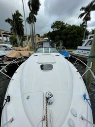 White motor yacht bow moored at a palm-tree lined marina dock under an overcast sky, showing anchor chain, deck hatch, cleats and neighboring boats.