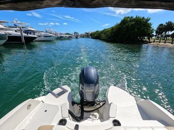 STINGRAY 24 Ft Boat Charter Miami: Private Cruise for Up to 6 Guests image 2