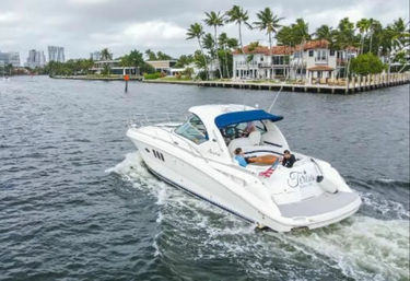 White luxury motor yacht cruising a palm-lined intracoastal waterway past waterfront homes and docks under an overcast sky