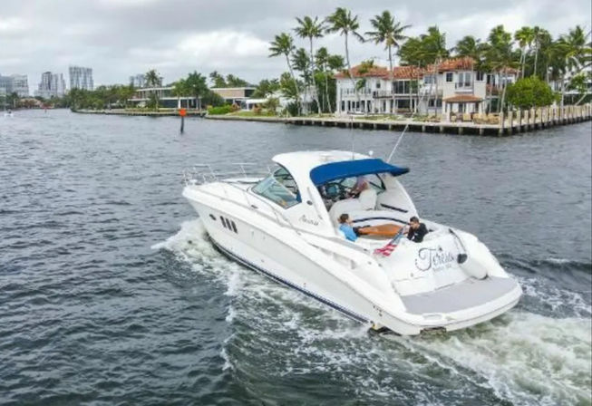 White luxury motor yacht cruising a palm-lined intracoastal waterway past waterfront homes and docks under an overcast sky