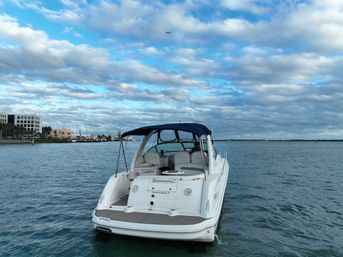 White motorboat with a navy canopy floating in calm marina waters near a palm-lined waterfront and low-rise buildings under a blue sky dotted with layered clouds.