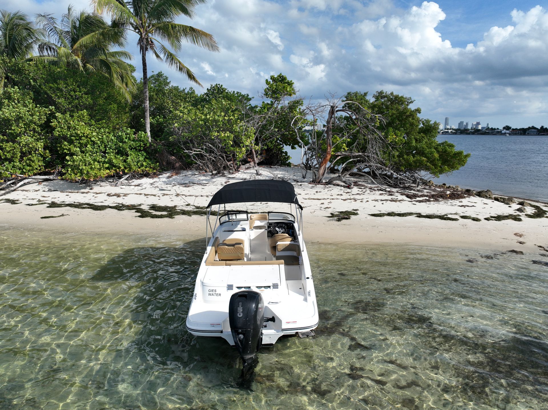 White motorboat anchored in shallow clear water off a sandy tropical beach with palm trees and mangroves, sunlit seabed visible and a distant city skyline across the bay.