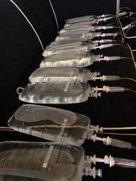 Event IV Hydration for Weddings, Parties and Corporate Groups image 8