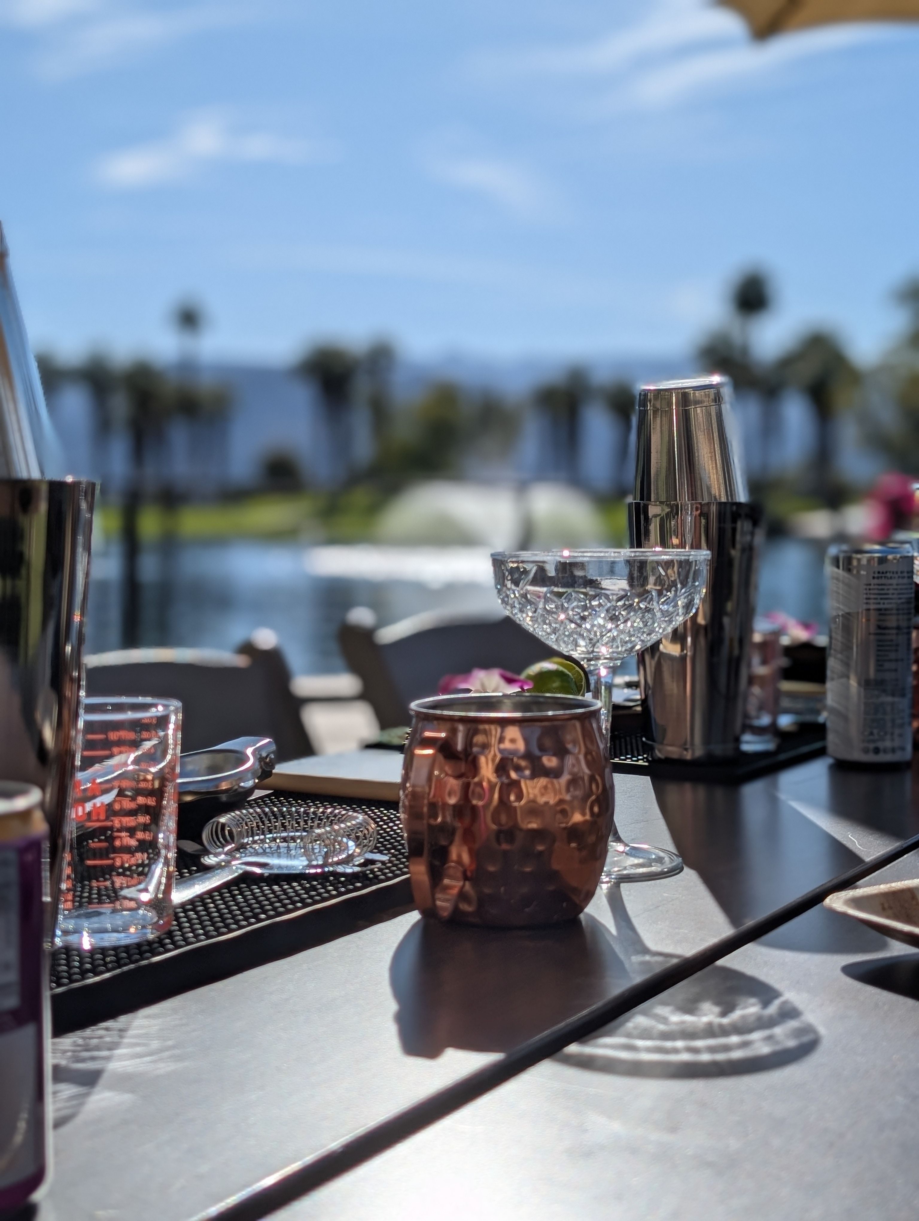 Cocktail Class From Top Rated Bartenders: Learn How to Make a Great Drink image 1