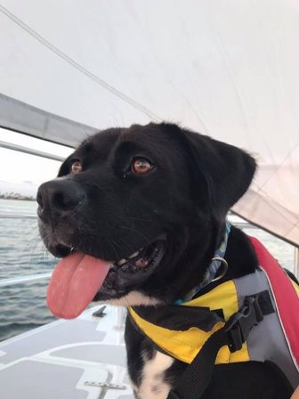 TSC Jeanne Marie Luxury Sailing Catamaran image 8