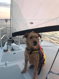 TSC Jeanne Marie Luxury Sailing Catamaran image 9