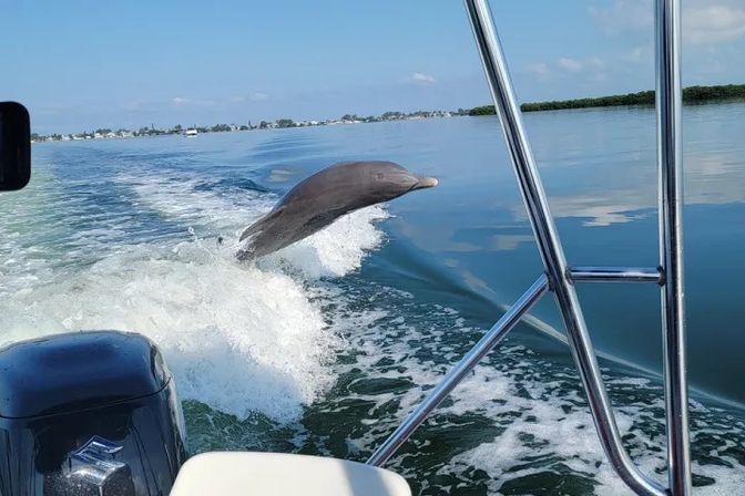 Playful bottlenose dolphin leaping through a motorboat's wake in calm coastal waters with a distant shoreline and blue sky.