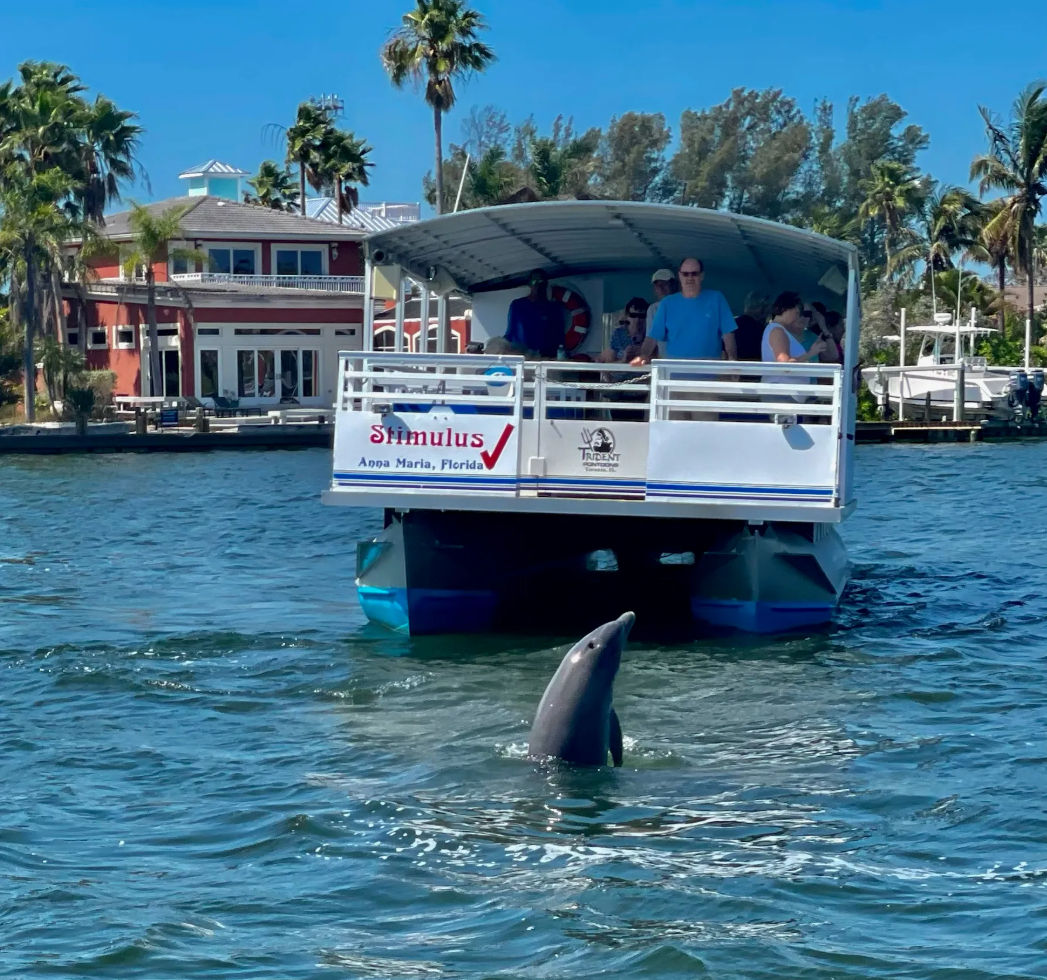 Playful dolphin surfacing beside a passenger pontoon boat with onlookers, sunny palm‑lined Florida waterfront and coastal homes in the background.