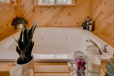 Cozy rustic cabin bathroom with a white jetted bathtub set in pine wood paneling, potted plants and glass jars of bath salts on the tub ledge — spa-ready.