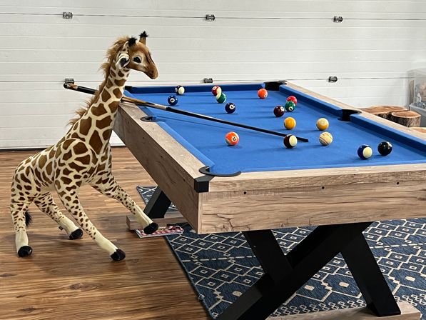 Playful plush giraffe leaning on a blue-felt pool table with scattered billiard balls and two cue sticks on a wood‑floored indoor game room