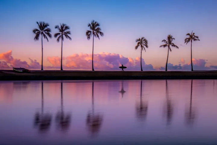 Pastel sunset over a calm shoreline with a row of tall palm trees reflected in smooth water, a lone surfer silhouette carrying a board and a small beached boat along the horizon.