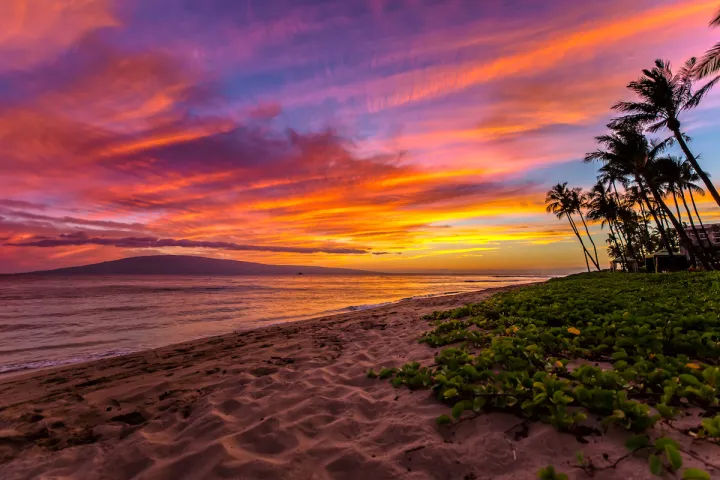 Vibrant tropical beach sunset with vivid pink, orange and purple sky, calm ocean, sandy shoreline with coastal greenery, silhouetted palm trees and a distant island on the horizon
