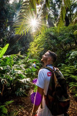 Backpacker on a sunlit tropical rainforest trail gazing up at a starburst of sunlight through a large fern canopy amid lush green foliage