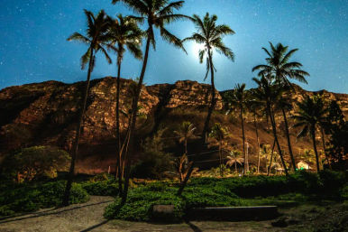 Moonlit tropical beach scene with tall palm trees silhouetted against a starry night sky and rugged coastal cliffs above a green shoreline