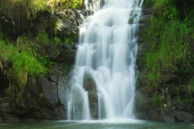 Serene multi-tiered waterfall tumbling over dark rocks into a clear pool, framed by vibrant green foliage