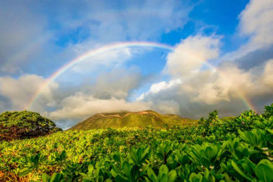 Vibrant rainbow arching over a tropical volcanic ridge with lush green foreground foliage, dramatic clouds and bright blue sky — scenic landscape view