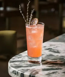 Vibrant pink cocktail in a tall highball glass with ice, garnished with a dried citrus wheel and lavender sprigs, sitting on a marble bar countertop.