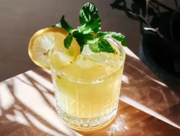 Sunlit crystal tumbler of iced lemon-mint cocktail garnished with a lemon slice and fresh mint sprig on a wooden table