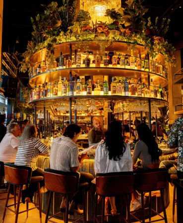 Group of patrons seated around a circular, backlit cocktail bar with tiers of liquor bottles, hanging plants and warm chandelier lighting — lively upscale indoor bar scene at night