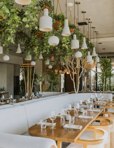 Modern urban restaurant interior with curved white banquette seating, wooden tables set with glassware and napkins, white pendant lights and abundant hanging plants creating a bright, lush dining atmosphere.