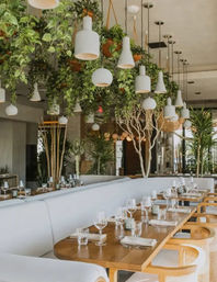 Modern urban restaurant interior with curved white banquette seating, wooden tables set with glassware and napkins, white pendant lights and abundant hanging plants creating a bright, lush dining atmosphere.