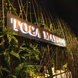 Illuminated orange-and-white channel-letter entrance sign mounted on a metal trellis with a lush vertical green wall and tropical plants, nighttime exterior scene
