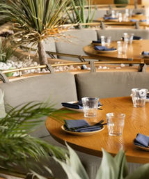 Sunny modern restaurant interior with round wooden tables set with glasses and navy napkins, curved banquette seating and lush indoor plants for a relaxed coastal-inspired dining vibe.
