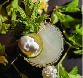 Top-down view of a refreshing lime-mint cocktail: ice-filled glass garnished with a lime wheel, fresh mint sprig and a dollop of foam on a dark background