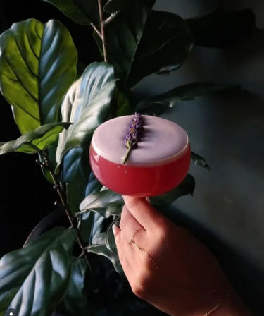Hand holding a pink lavender cocktail in a coupe glass, topped with a single lavender sprig, against dark green indoor plant leaves with a delicate gold hand chain for a stylish, botanical vibe.