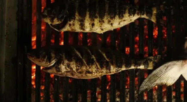 Two whole fish with charred grill marks sizzling on a charcoal barbecue grate over glowing red coals