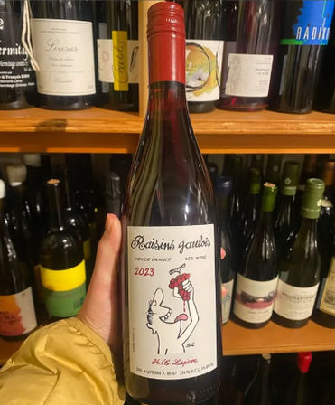 Hand holding a 2023 French red wine bottle labeled “Raisins gaulois” with a playful cartoon on the label, displayed against wooden shelves filled with assorted wine bottles in a shop.