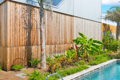 Sunlit backyard swimming pool beside a wooden privacy fence with an outdoor shower, palm tree and lush tropical landscaping.