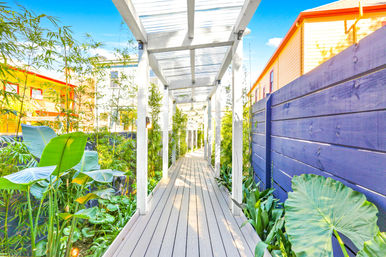 Sunlit residential garden walkway with white pergola over a wooden deck, lush tropical plants and bamboo, purple privacy fence and colorful houses in the background.
