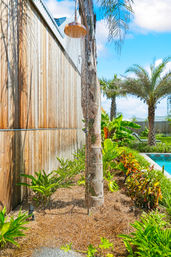 Poolside outdoor shower mounted to a palm trunk with water spraying over tropical plants and palm trees beside a wooden fence on a sunny blue-sky day