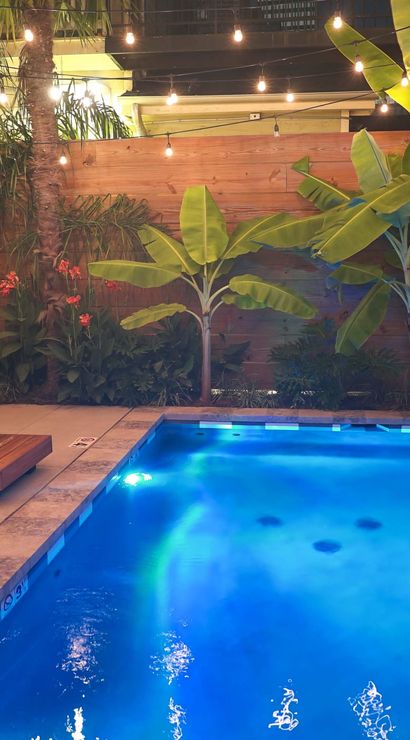 Blue-lit rectangular backyard pool at night with tropical banana plants, string lights overhead, wooden fence and low wooden lounge seating with cushions on a cozy patio