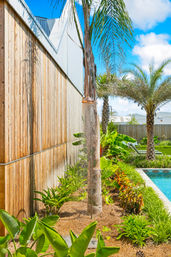 Sun-drenched tropical backyard with palm trees, a wooden fence, outdoor shower mounted on a palm trunk, lush landscaping and a blue swimming pool